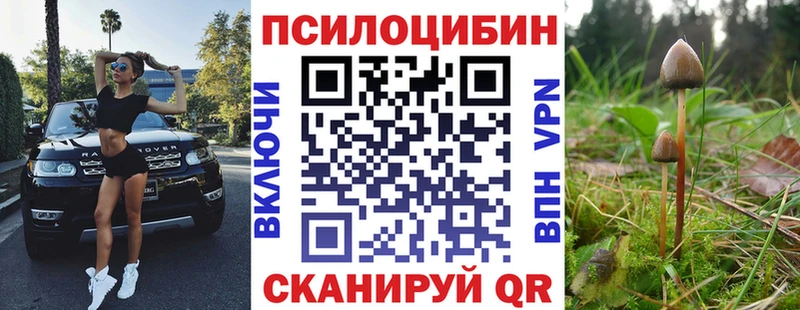kraken вход  darknet как зайти  Галлюциногенные грибы мухоморы  где продают наркотики  Горно-Алтайск 