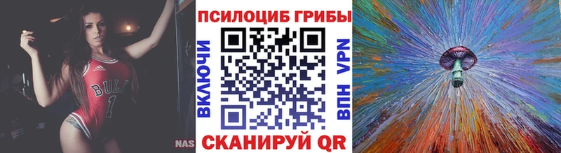 Псилоцибиновые грибы ЛСД Горно-Алтайск